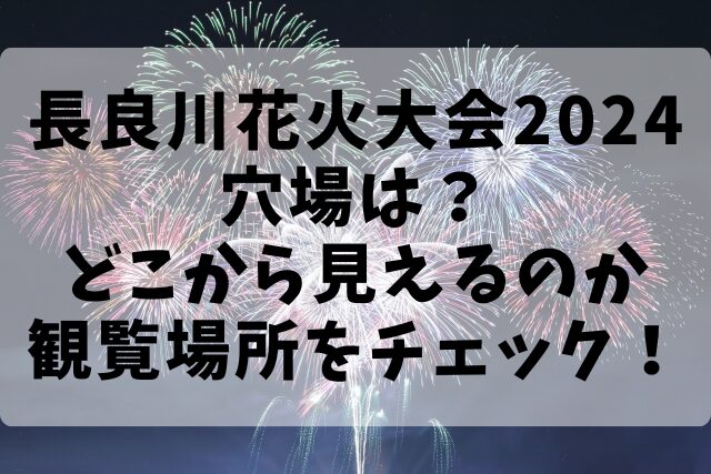 長良川花火大会2024穴場は？どこから見えるのか観覧場所をチェック！