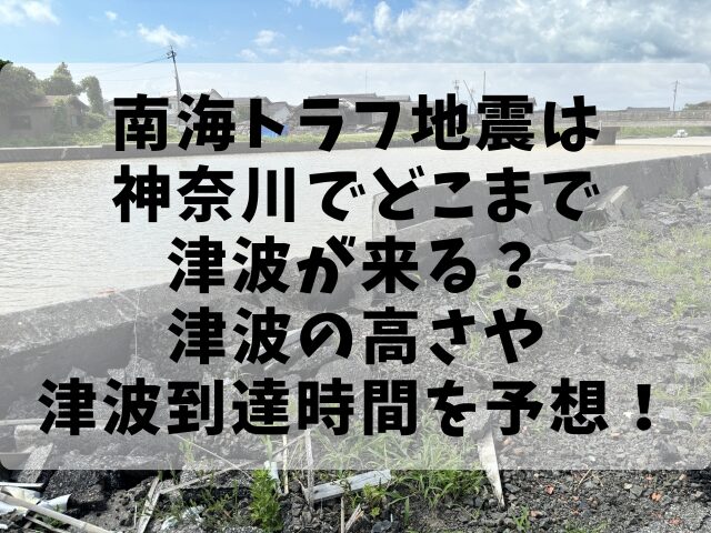 南海トラフ地震は神奈川でどこまで津波が来る？津波の高さや津波到達時間を予想！