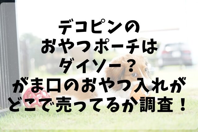 デコピンのおやつポーチはダイソー？がま口のおやつ入れがどこで売ってるか調査！