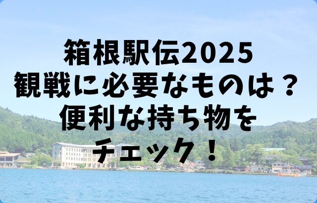 箱根駅伝2025観戦に必要なものは？便利な持ち物をチェック！