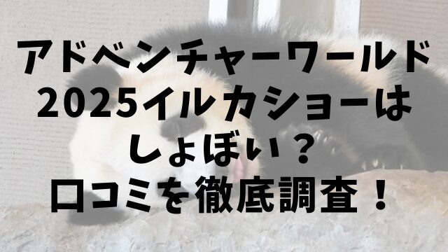 アドベンチャーワールド2025イルカショーはしょぼい？口コミを徹底調査！