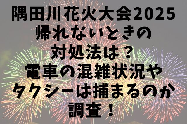 隅田川花火大会2025帰れないときの対処法は？電車の混雑状況やタクシーは捕まるのか調査！